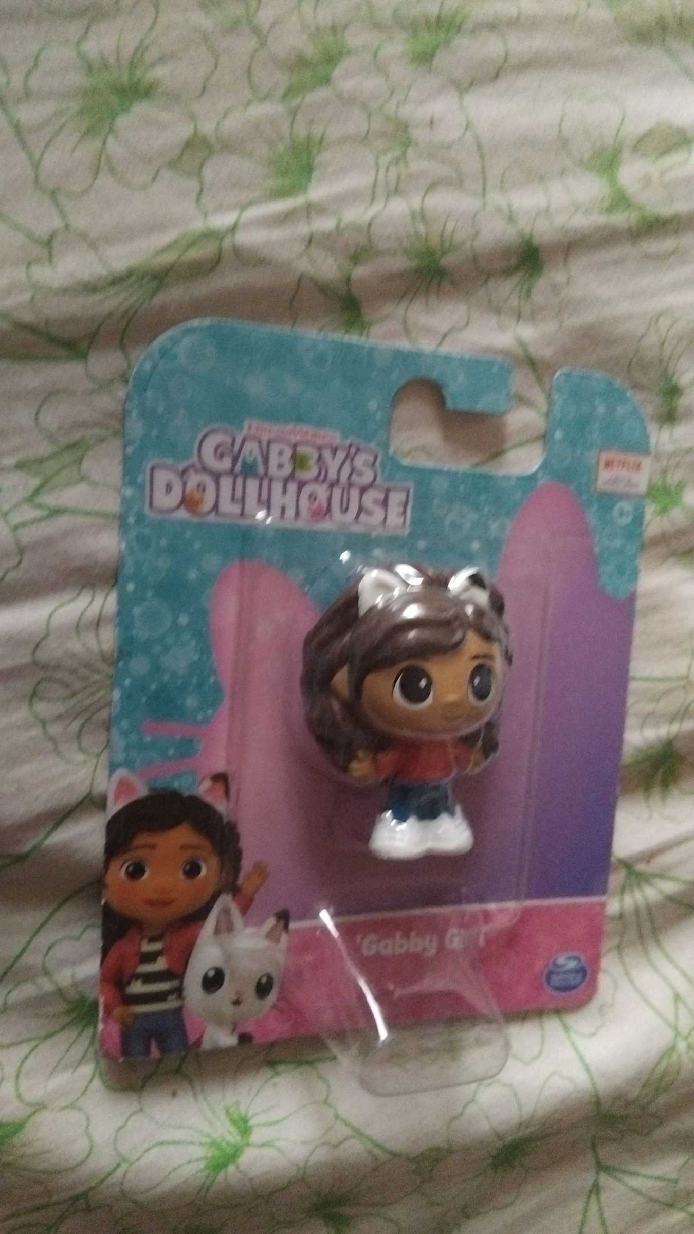 Gabby's doll house